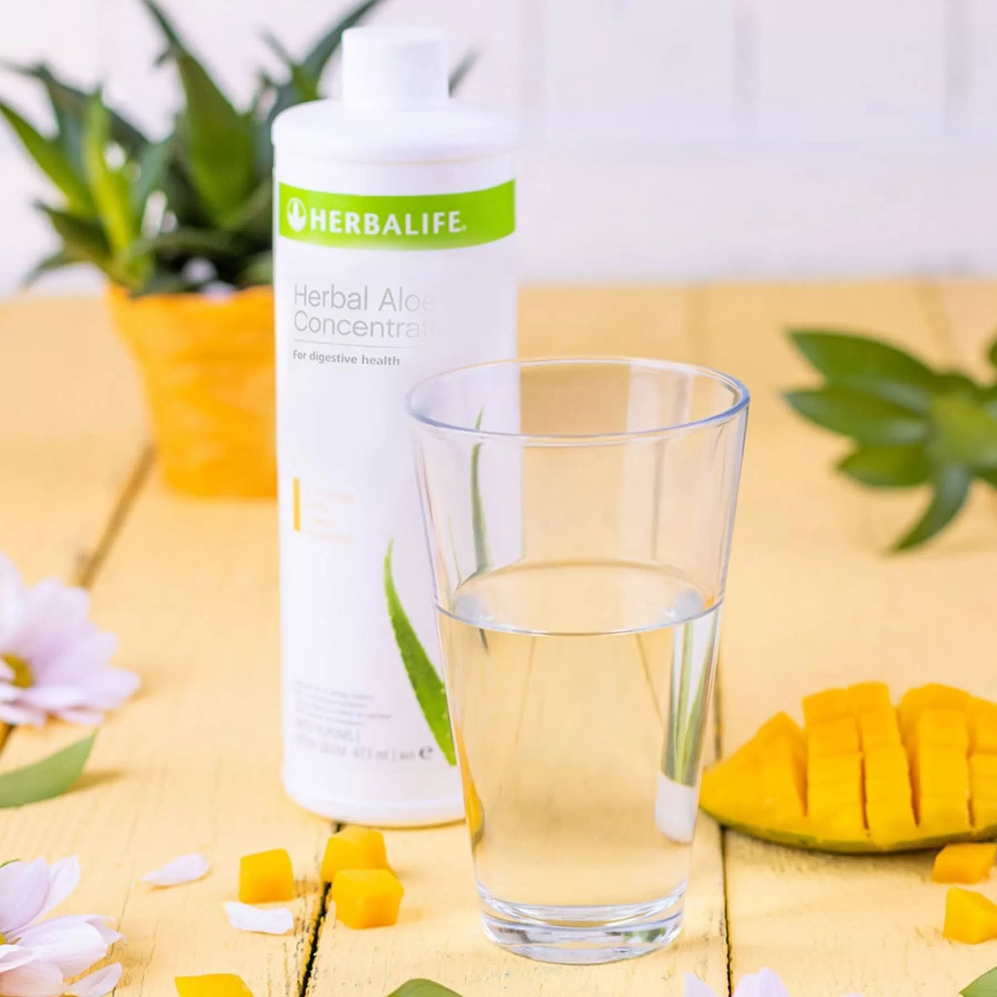 Herbalife Aloe Vera Suyu Mango Nasil Kullanilir