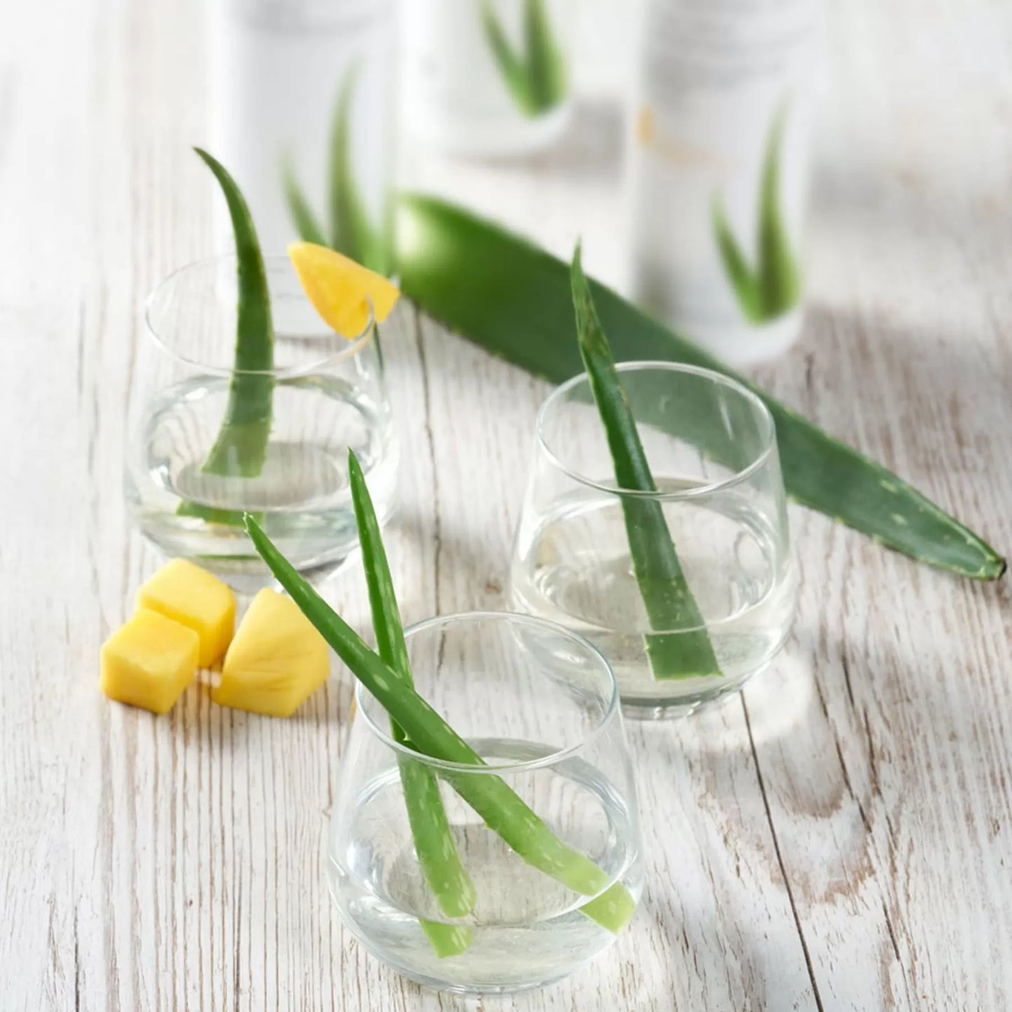 Herbalife Detoks Suyu