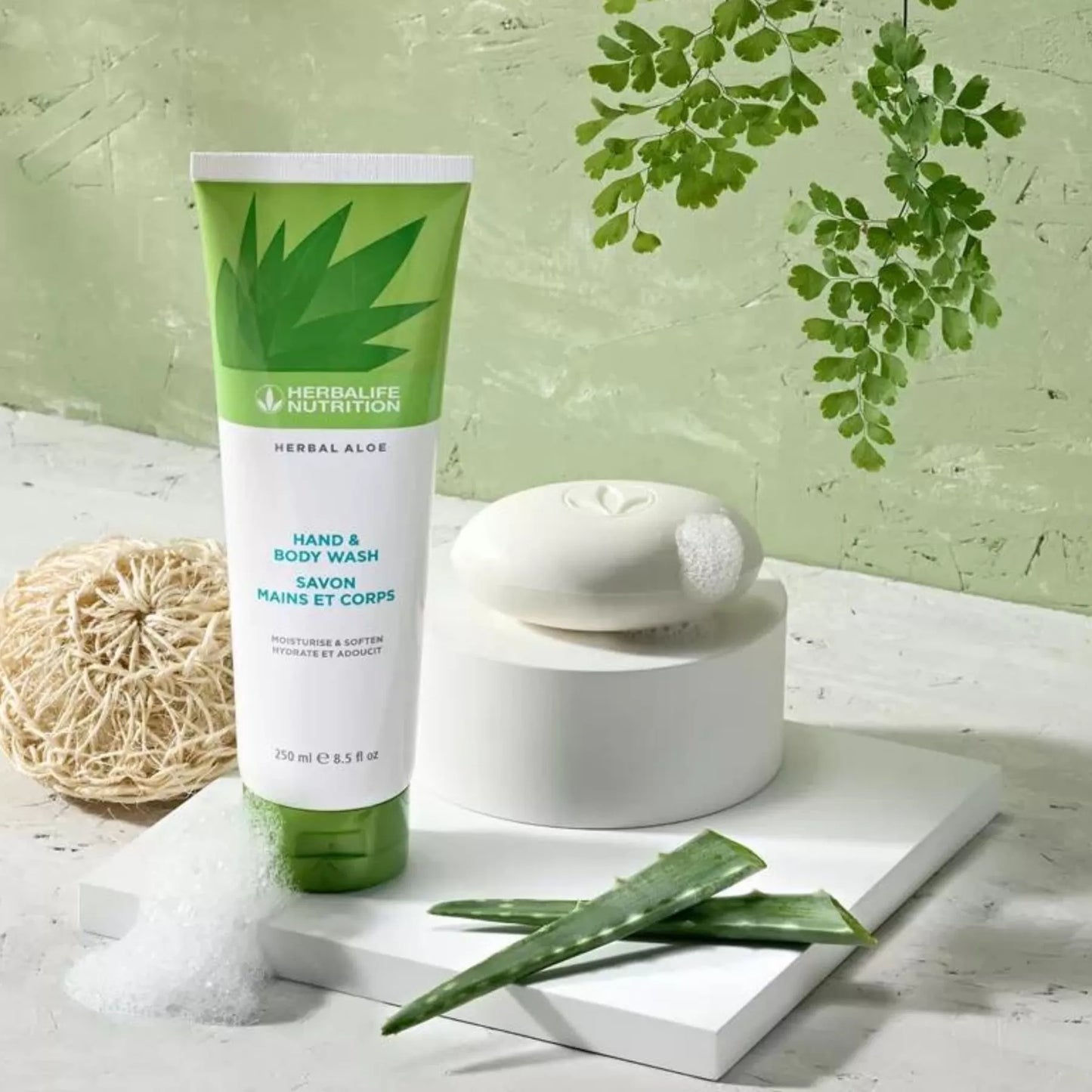 herbalife-herbal-aloe-el-ve-vucut-sampuani-fiyati-1