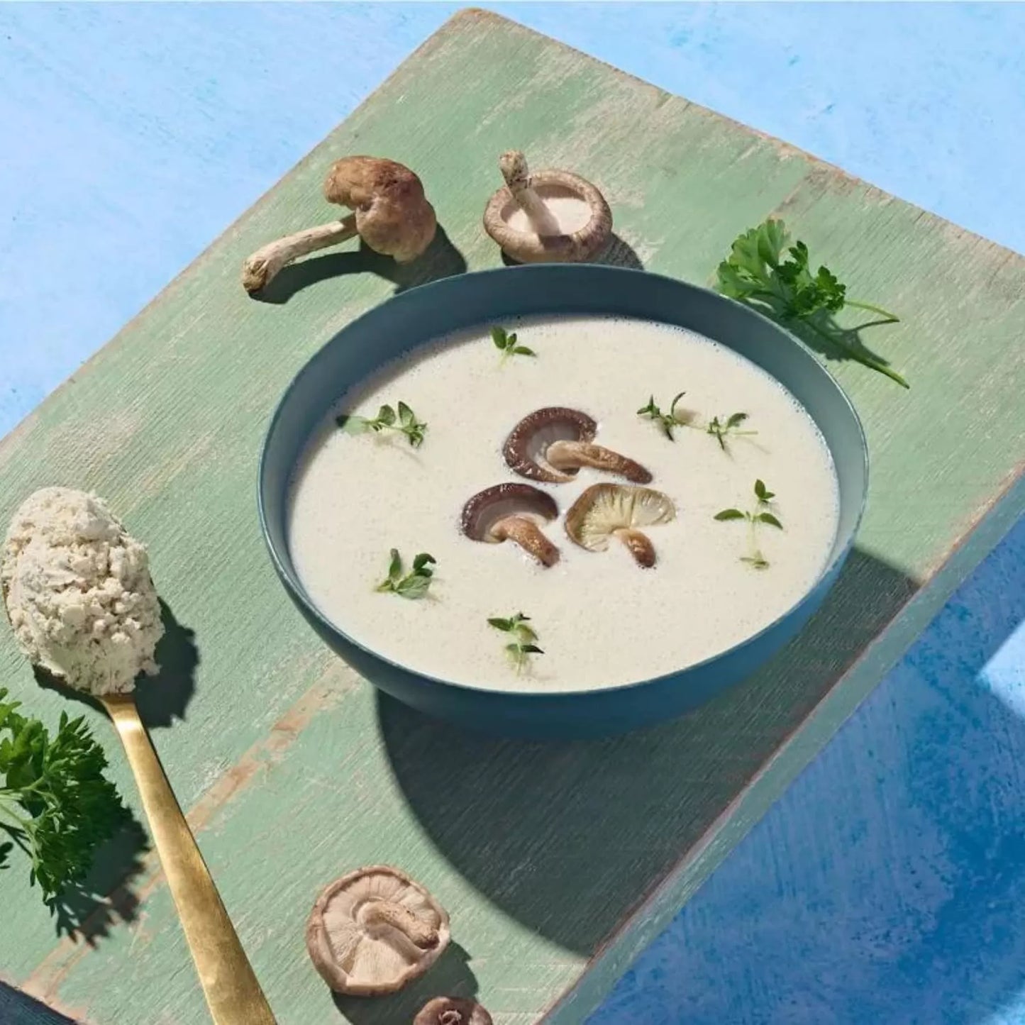 Herbalife Mantar Corbasi Nedir