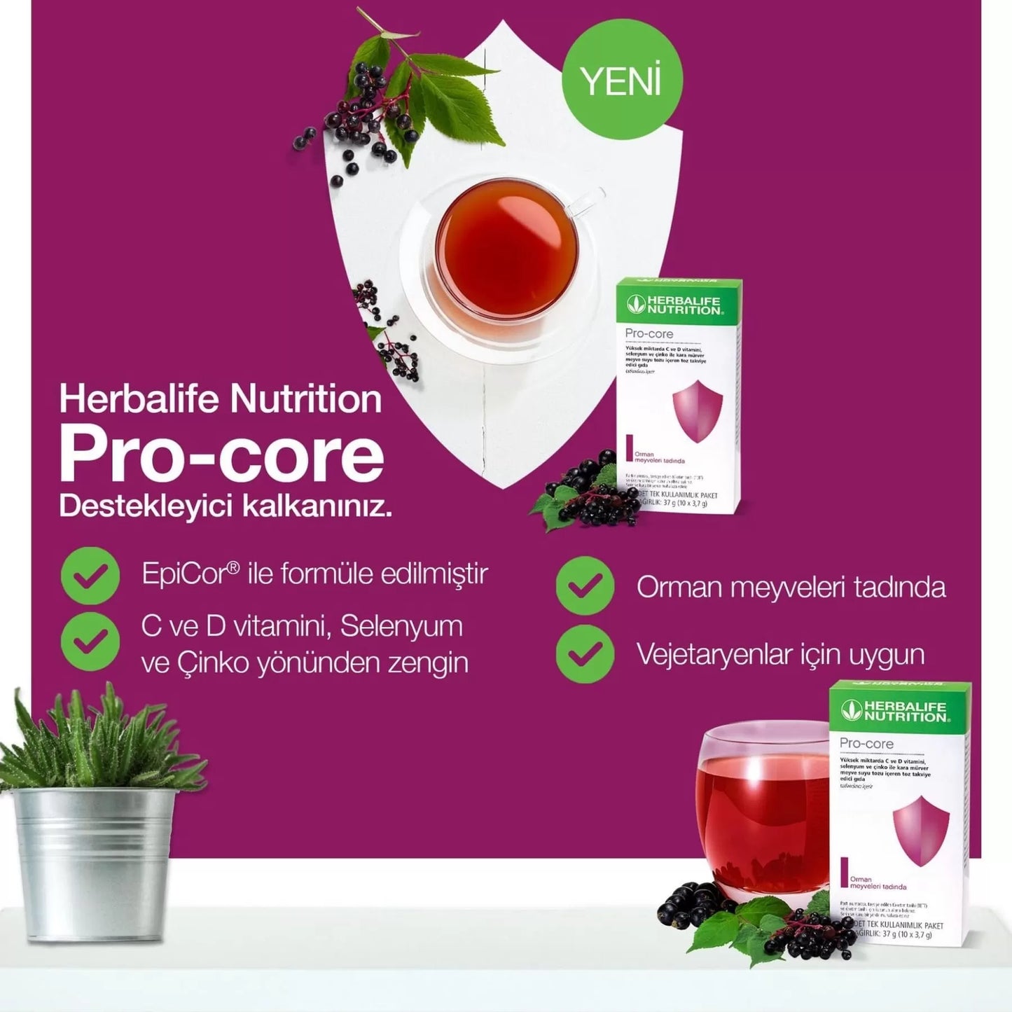 Herbalife Pro Core Ne İse Yarar